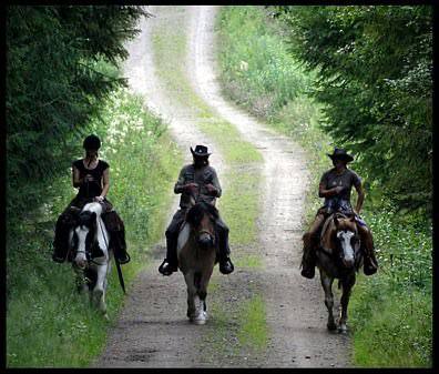 Animali della fattoria